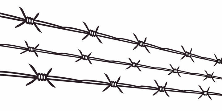 A close-up view of a barbed wire fence with sharp barbs on the wires. Vector