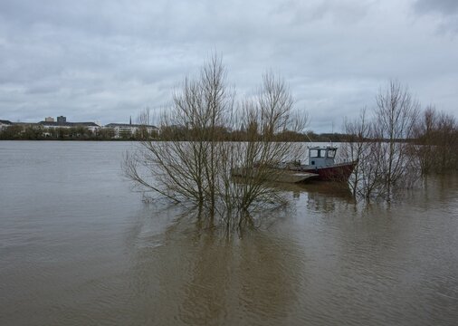 Mont&eacute;e des eaux et arbres immerg&eacute;s pendant la crue de la Loire pr&egrave;s de Nantes