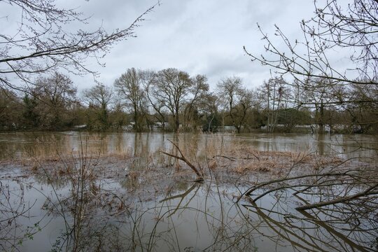 Mont&eacute;e des eaux et arbres immerg&eacute;s pendant la crue de la Loire pr&egrave;s de Nantes