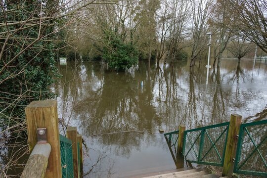 Mont&eacute;e des eaux et arbres immerg&eacute;s pendant la crue de la Loire pr&egrave;s de Nantes