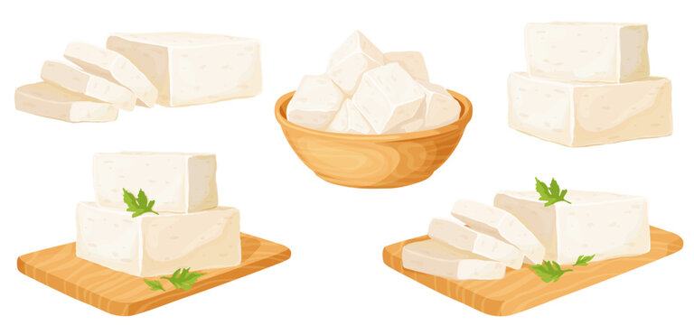 White tofu vector illustration
