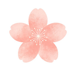 シンプルでかわいい桜の花　水彩風タッチの装飾イラスト　春の花