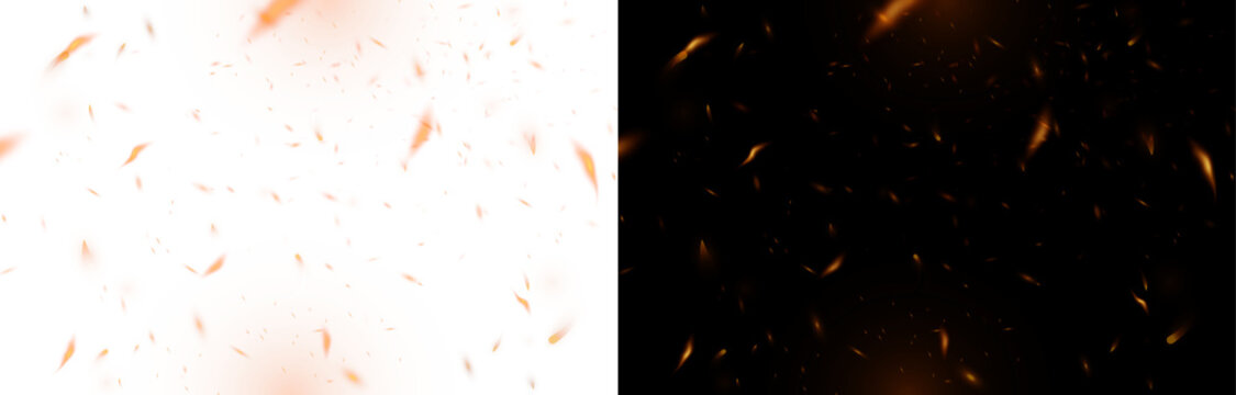 Fire flames embers. fire embers flying 
