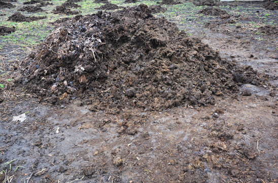 pile of natural manure for organic farming