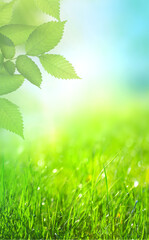 green natural grass background with sun rays, vertical walpaper