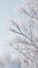 Close up of delicate tree branches covered in white frost and ice crystals against a soft blue winter sky. Beautiful hoarfrost on twigs in cold weather.