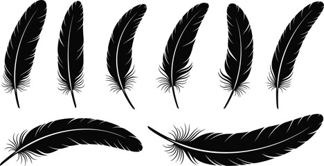 Black feather silhouettes collection with different bird feathers, decorative flying feather shapes isolated vector illustration set © Prodip