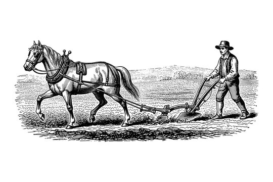 Vintage farming scene with horse and farmer using traditional plow in detailed engraving style