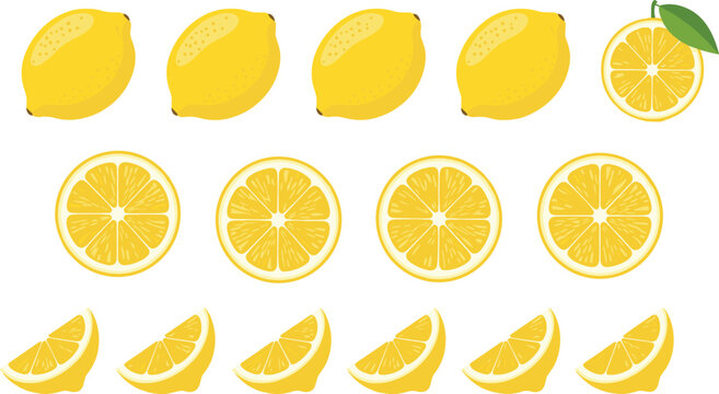 Lemon fruit whole, slices and wedges collection, fresh yellow citrus fruit illustration isolated food vector set