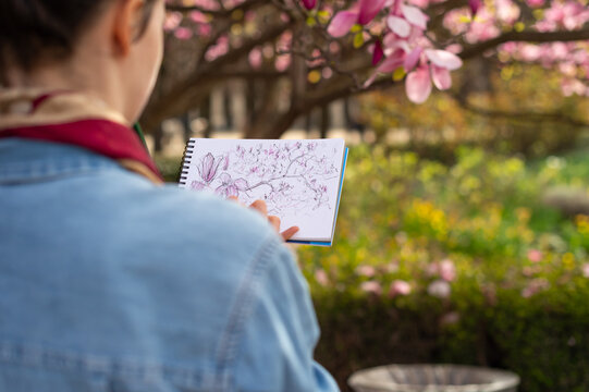 A female artist sketches pink magnolia blossoms in a spiral notebook. Over the shoulder view in Luxembourg Garden, Paris during spring.