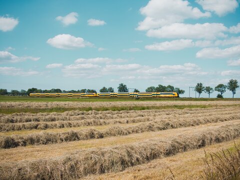 Train passing by a field