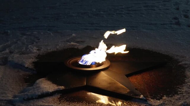 Eternal flame star, red carnations near, representing rememberance and respectful memory, with bokeh lights background. 