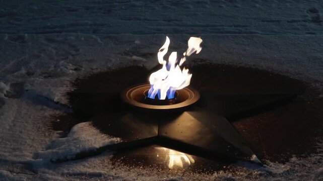 Eternal flame star, red carnations near, representing rememberance and respectful memory, with bokeh lights background. 