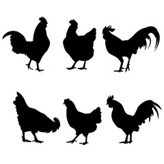 Rooster and Chicken Silhouette Set - Decorative Farm Bird Icons and Poultry Outlines Isolated on White Background © Eranga Ekanayake