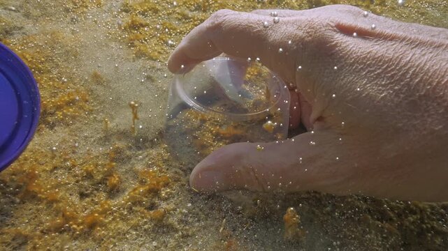 POV view: hydrobiologist's hands taking samples from seabed covered in unicellular algae colony synthesizing gas (golden-brown mucous capsules containing microbubbles), close-up, first person view