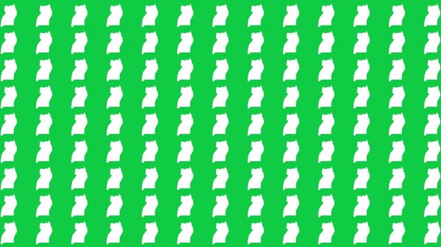 Uganda map pattern scrolling perfect 10 second loop with green background