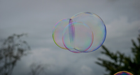 Iridescent, rainbow colored soap bubbles floating through the air