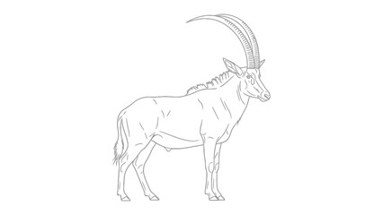Magnificent Sable Antelope Outline: A majestic sable antelope, its sleek form defined by elegant lines, stands gracefully.