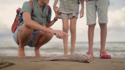 Mother and children observing a dead fish on the beach, learning about marine life, ecological issues, environmental impact, and ocean pollution