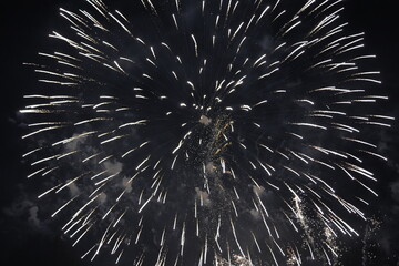 Bright fireworks against the black sky.
