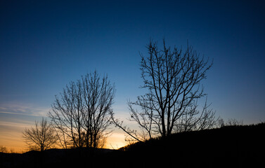 Gałęzie wiosennych drzew na tle wschodzącego słońca © kubikactive