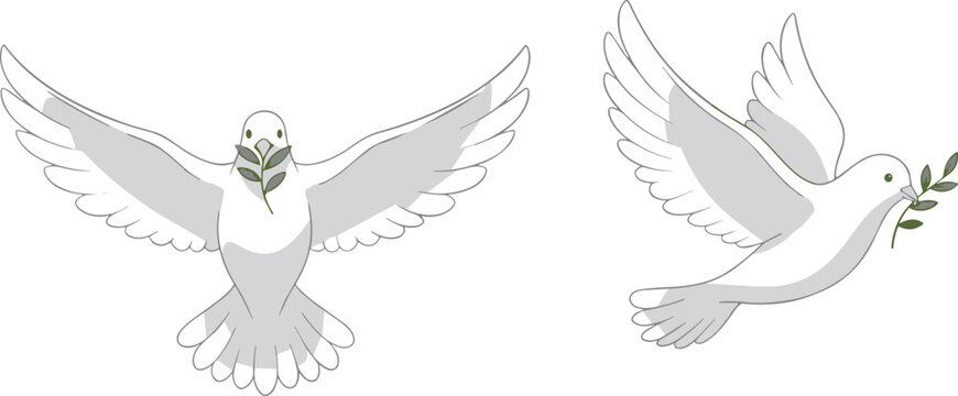 Peace doves illustration with olive branches, flying white birds symbolizing hope, harmony, reconciliation, freedom, and international peace vector design