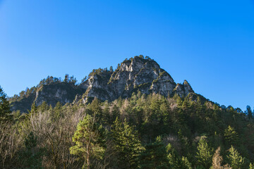 Fototapeta premium Forest Below A Beautiful Rocky Peak