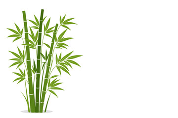 Fototapeta premium bamboo leaves isolated on white