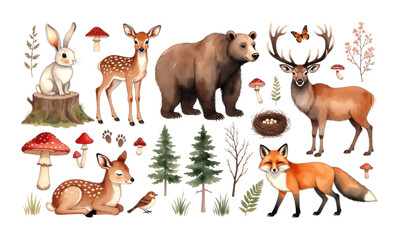 Fototapeta premium Charming Watercolor Forest Animals Collection with Mushrooms and Nature Elements