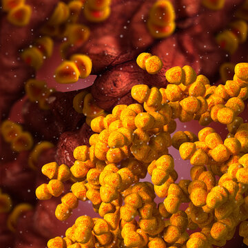 Medical background, Staphylococcus aureus, a type of spherical gram-positive bacteria, causes a disease of the skin, mucous membranes of the upper respiratory tract, 3d rendering