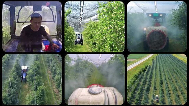 Young Farmer in Tractor Spraying Apple Orchard in Spring Multi Screen Video.  Search for the unique series code: FRUIT-GROW-CYCLE-2026