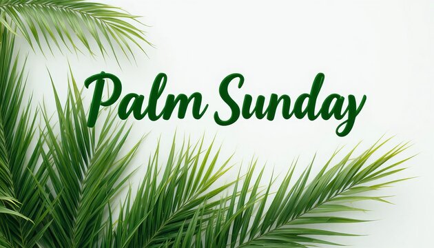 A serene Palm Sunday greeting with lush green palm leaves on a white background