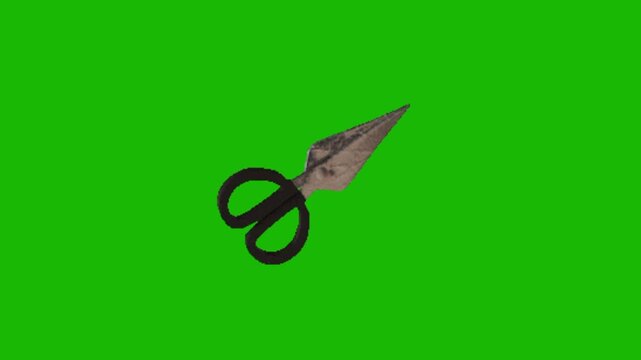 scissors vector illustration on green background