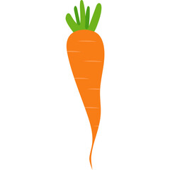 Isolated Carrot Illustration