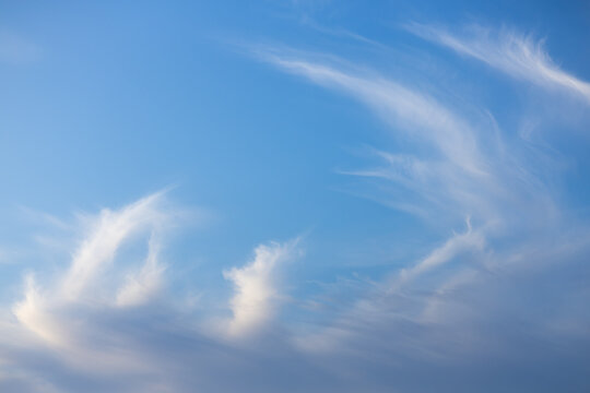 Blue sky with soft cirrus clouds forming elegant feather-like shapes. Clear blue sky with delicate cirrus clouds stretching in soft, feather-like formations. Light and airy composition