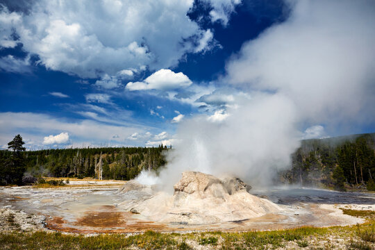Grotto Geyser erupts in Yellowstone National Park, Wyoming