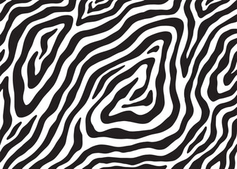 Fototapeta premium Abstract mono zebra animal skin pattern design. Animal print vector illustration background. Wildlife fur skin design illustration for web, home decor, fashion, surface, graphic design