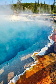 Black Pool is a geothermal feature in Yellowstone National Park