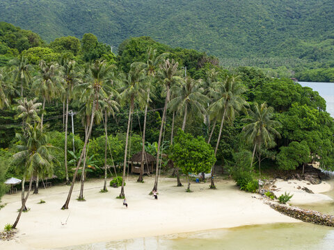 Aerial view of Bobby Beach's white sands kissed by turquoise waters, fringed by swaying palms against verdant hills, Karimunjawa, Central Java, Indonesia.