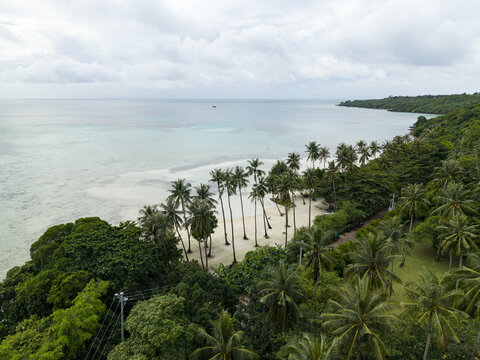 Aerial view of Bobby Beach's shoreline where lush green trees meet the white sands and turquoise sea, Karimunjawa, Central Java, Indonesia.