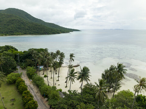 Aerial view of the beach fringed with lush greenery and palm trees, meeting the turquoise sea under a soft sky at Bobby Beach, Karimunjawa, Central Java, Indonesia.