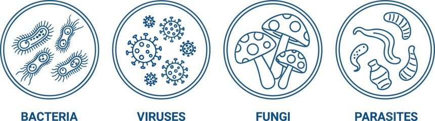 Microorganisms icons set showing bacteria viruses fungi and parasites medical microbiology concept illustration for healthcare science education isolated on white background © mdanichur