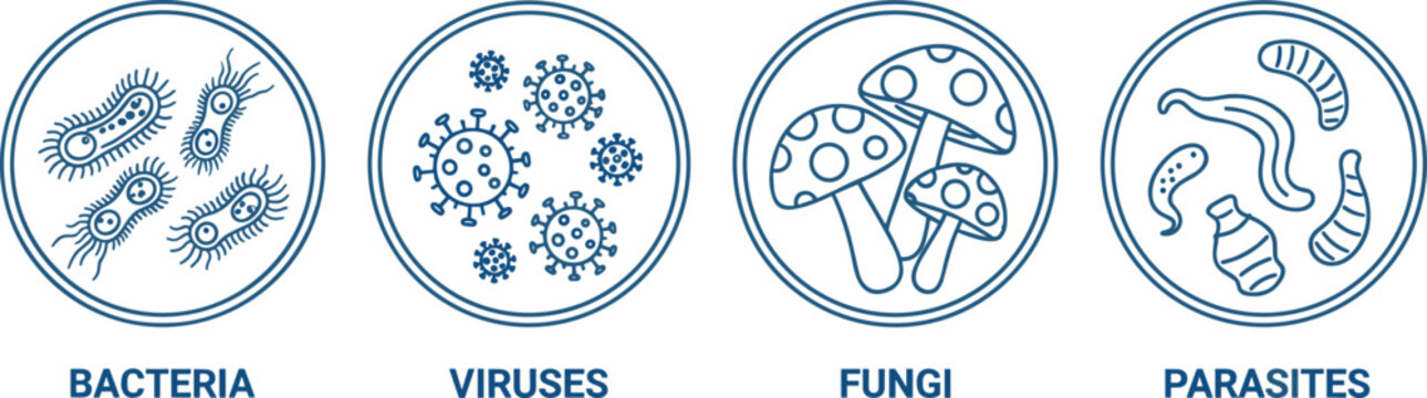 Microorganisms icons set showing bacteria viruses fungi and parasites medical microbiology concept illustration for healthcare science education isolated on white background