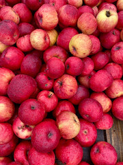 Fresh red apples with water drop collected in wooden box. Seasonal harvest of organic fruit. Healthy food concept for agriculture, gardening, market, culinary nutrition and diet.
