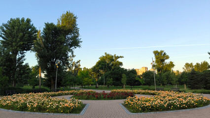 sunny morning in the park in Novi Sad