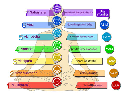 Flow of Subtle Energy Through System of Six Chakras and the Sahasrara Center. Human Body in a Lotus Position. Bija Mantras Vibrations Sound of the Deities. Esoteric Buddhism.