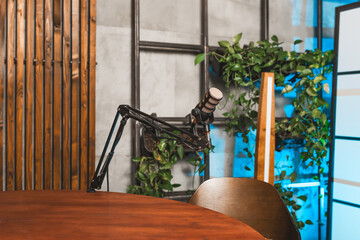 Podcast setup with microphone and modern decor in a recording space featuring plants and wood accents