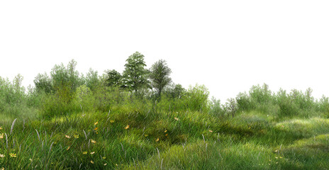 green grass on white background/Lush green meadow with tall grass, wildflowers, and trees in a natural landscape, fresh countryside scenery isolated on a white background. © Saharattaphum