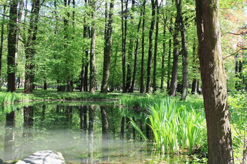 Park Habsburgów Żywiec © Dariusz