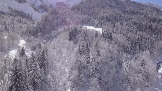 Paysage de montagne en hiver, for&ecirc;t enneig&eacute; 